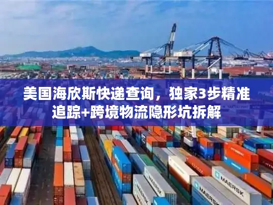 美国海欣斯快递查询，独家3步精准追踪+跨境物流隐形坑拆解