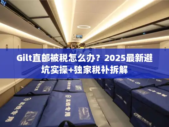 Gilt直邮被税怎么办?2025最新避坑实操+独家税补拆解 Gilt直邮被税怎么办?2025最新避坑实操+独家税补拆解