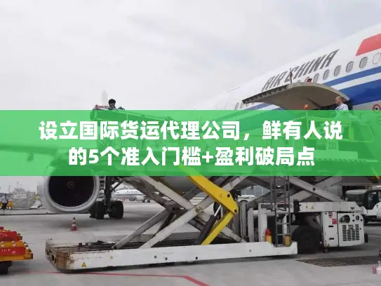 设立国际货运代理公司，鲜有人说的5个准入门槛+盈利破局点