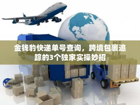 金钱豹快递单号查询，跨境包裹追踪的3个独家实操妙招
