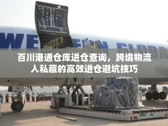 百川港通仓库进仓查询，跨境物流人私藏的高效进仓避坑技巧