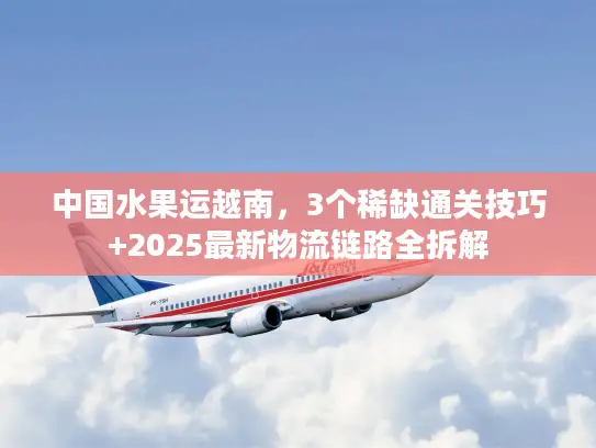中国水果运越南，3个稀缺通关技巧+2025最新物流链路全拆解
