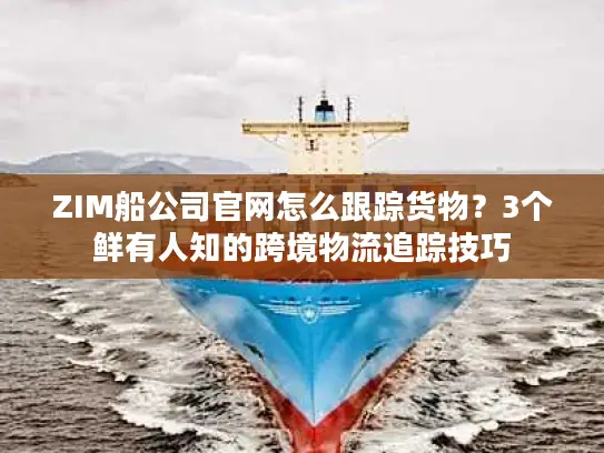 ZIM船公司官网怎么跟踪货物？3个鲜有人知的跨境物流追踪技巧
