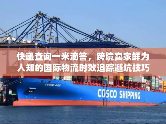 快递查询一米滴答，跨境卖家鲜为人知的国际物流时效追踪避坑技巧