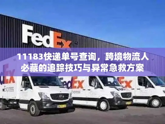 11183快递单号查询，跨境物流人必藏的追踪技巧与异常急救方案