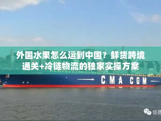 外国水果怎么运到中国？鲜货跨境通关+冷链物流的独家实操方案