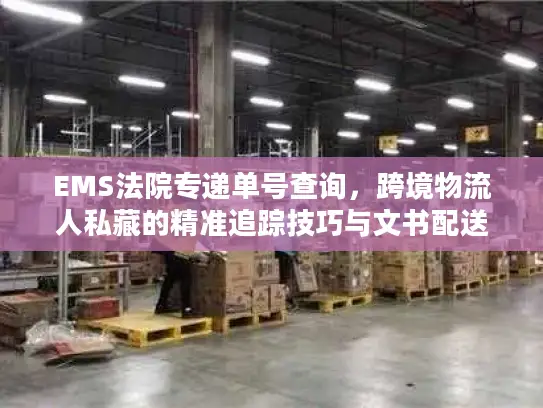 EMS法院专递单号查询，跨境物流人私藏的精准追踪技巧与文书配送避坑