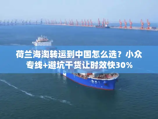 荷兰海淘转运到中国怎么选？小众专线+避坑干货让时效快30%