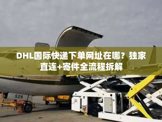 DHL国际快递下单网址在哪？独家直连+寄件全流程拆解