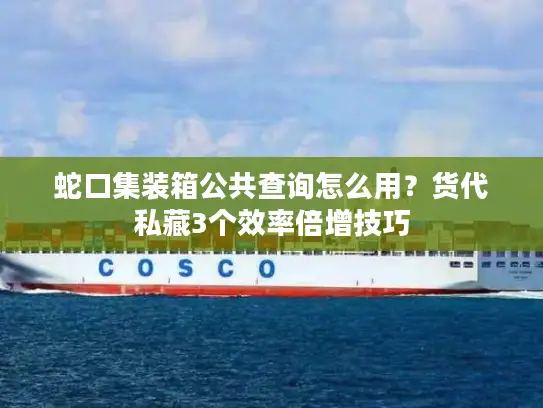 蛇口集装箱公共查询怎么用？货代私藏3个效率倍增技巧