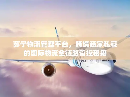 苏宁物流管理平台，跨境商家私藏的国际物流全链路管控秘籍