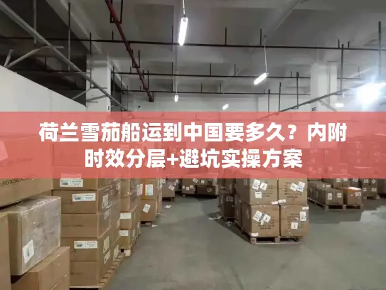 荷兰雪茄船运到中国要多久？内附时效分层+避坑实操方案
