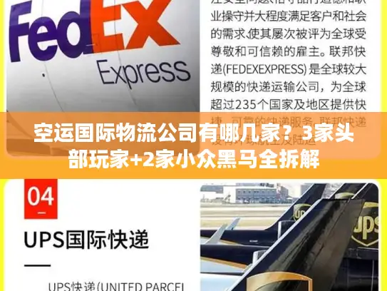 空运国际物流公司有哪几家？3家头部玩家+2家小众黑马全拆解