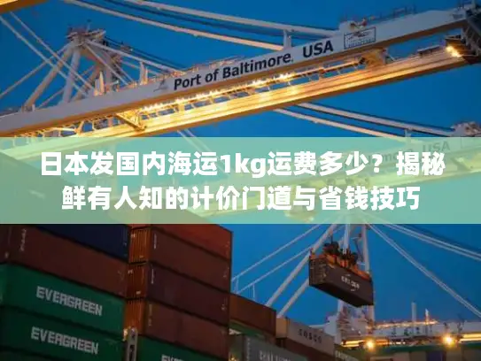 日本发国内海运1kg运费多少？揭秘鲜有人知的计价门道与省钱技巧