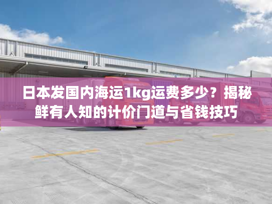 日本发国内海运1kg运费多少？揭秘鲜有人知的计价门道与省钱技巧