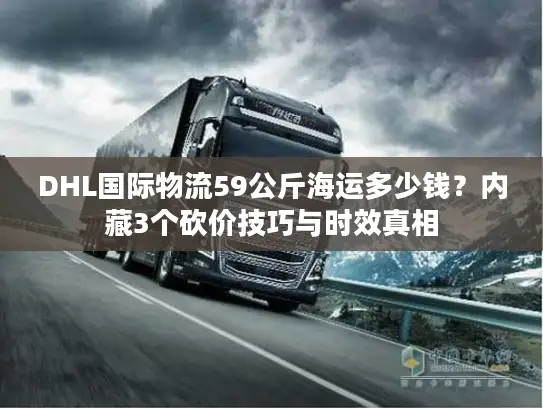 DHL国际物流59公斤海运多少钱？内藏3个砍价技巧与时效真相