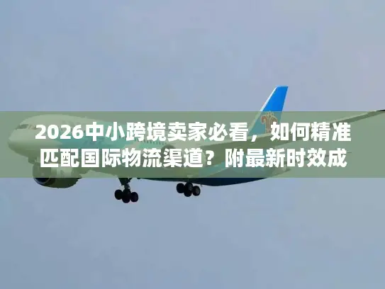 2026中小跨境卖家必看，如何精准匹配国际物流渠道？附最新时效成本数据