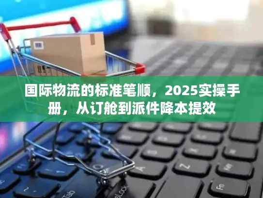 国际物流的标准笔顺，2025实操手册，从订舱到派件降本提效