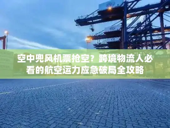 空中兜风机票抢空？跨境物流人必看的航空运力应急破局全攻略