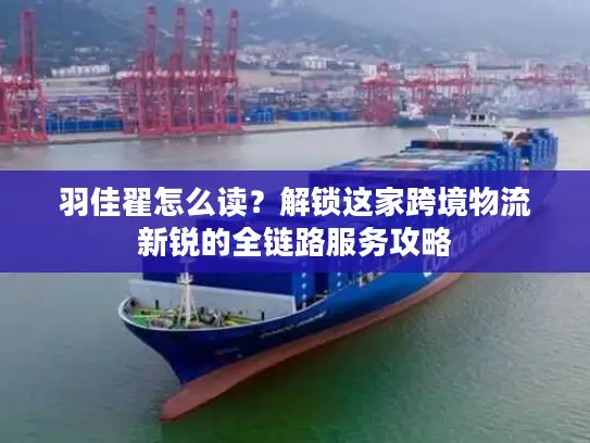 羽佳翟怎么读？解锁这家跨境物流新锐的全链路服务攻略