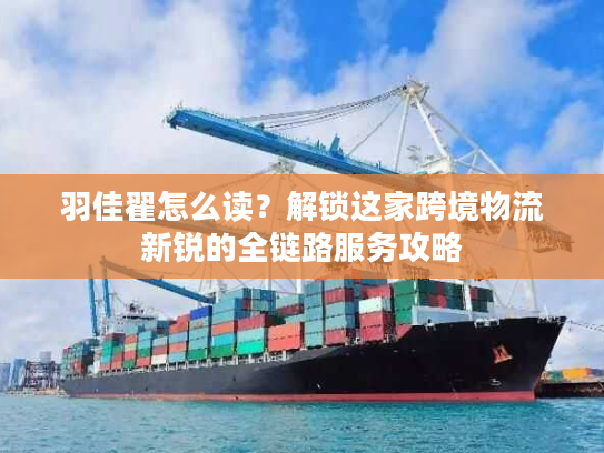 羽佳翟怎么读？解锁这家跨境物流新锐的全链路服务攻略