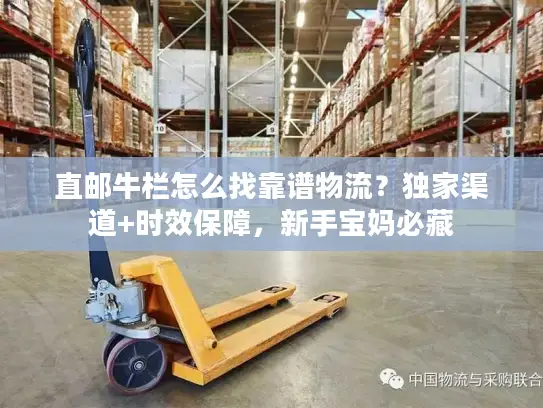 直邮牛栏怎么找靠谱物流？独家渠道+时效保障，新手宝妈必藏