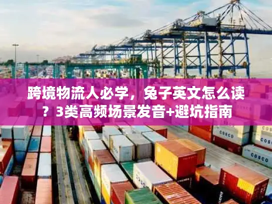 跨境物流人必学，兔子英文怎么读？3类高频场景发音+避坑指南