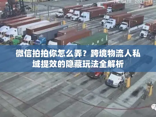 微信拍拍你怎么弄？跨境物流人私域提效的隐藏玩法全解析