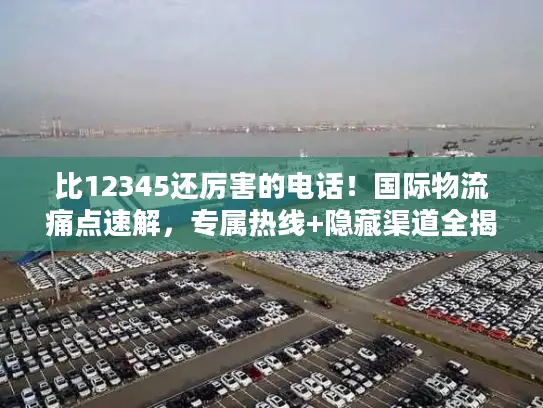 比12345还厉害的电话！国际物流痛点速解，专属热线+隐藏渠道全揭秘