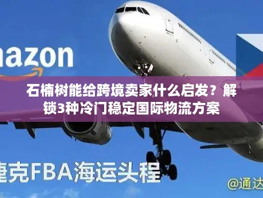 石楠树能给跨境卖家什么启发？解锁3种冷门稳定国际物流方案