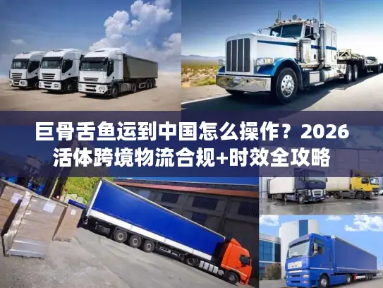 巨骨舌鱼运到中国怎么操作？2026活体跨境物流合规+时效全攻略