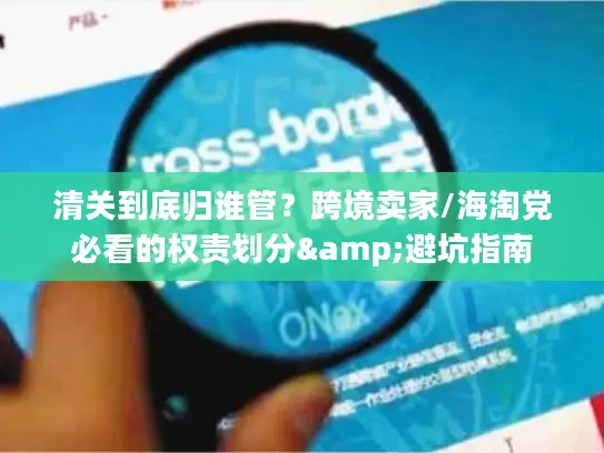 清关到底归谁管?跨境卖家/海淘党必看的权责划分&避坑指南 清关到底归谁管?跨境卖家/海淘党必看的权责划分&避坑指南