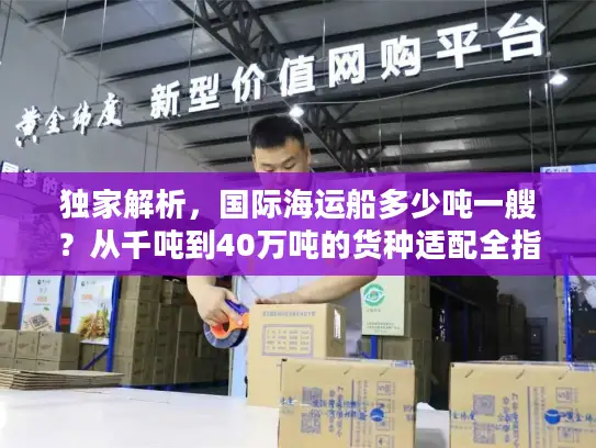 独家解析，国际海运船多少吨一艘？从千吨到40万吨的货种适配全指南