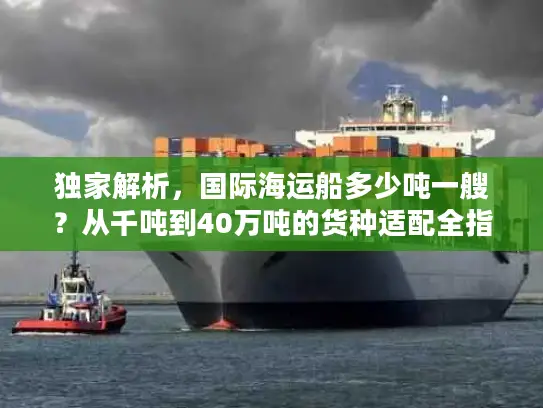 独家解析，国际海运船多少吨一艘？从千吨到40万吨的货种适配全指南