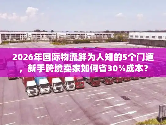 2026年国际物流鲜为人知的5个门道，新手跨境卖家如何省30%成本？
