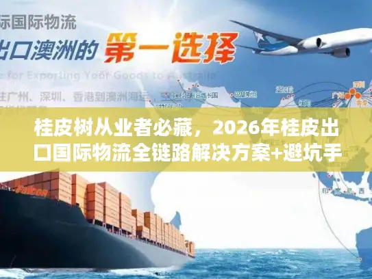 桂皮树从业者必藏，2026年桂皮出口国际物流全链路解决方案+避坑手册