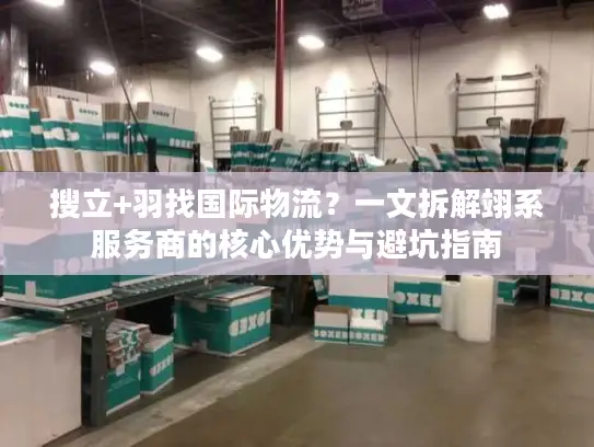 搜立+羽找国际物流？一文拆解翊系服务商的核心优势与避坑指南