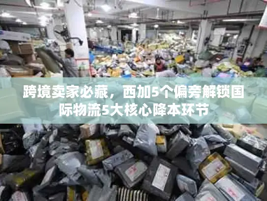 跨境卖家必藏，西加5个偏旁解锁国际物流5大核心降本环节