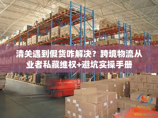 清关遇到假货咋解决？跨境物流从业者私藏维权+避坑实操手册