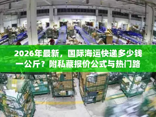 2026年最新，国际海运快递多少钱一公斤？附私藏报价公式与热门路线时效表