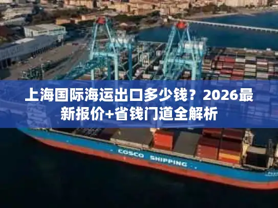 上海国际海运出口多少钱？2026最新报价+省钱门道全解析