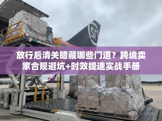 放行后清关暗藏哪些门道？跨境卖家合规避坑+时效提速实战手册