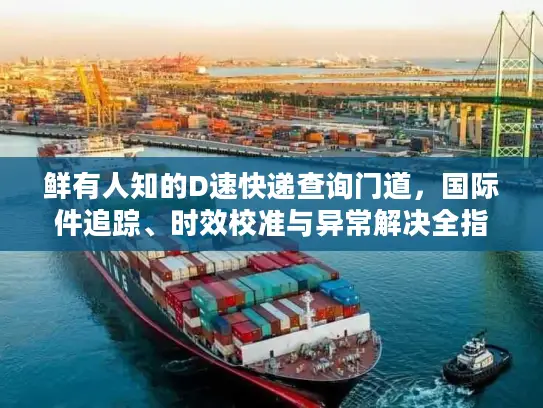 鲜有人知的D速快递查询门道，国际件追踪、时效校准与异常解决全指南