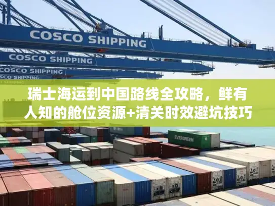 瑞士海运到中国路线全攻略，鲜有人知的舱位资源+清关时效避坑技巧