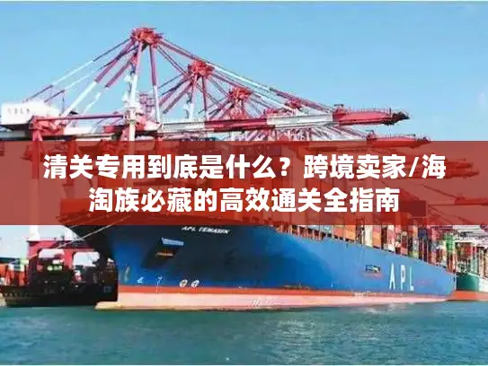 清关专用到底是什么？跨境卖家/海淘族必藏的高效通关全指南