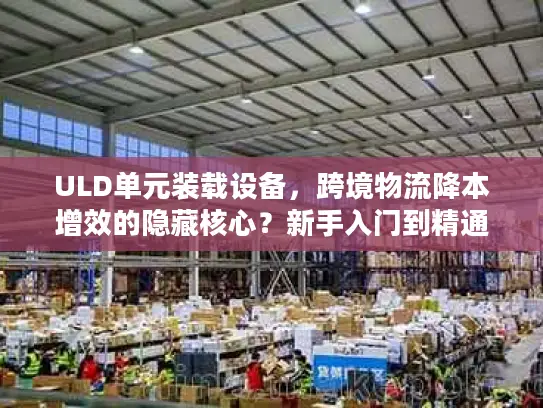 ULD单元装载设备，跨境物流降本增效的隐藏核心？新手入门到精通全指南