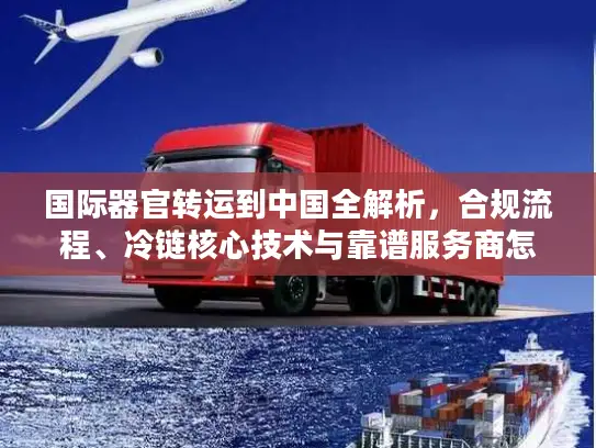 国际器官转运到中国全解析，合规流程、冷链核心技术与靠谱服务商怎么选？