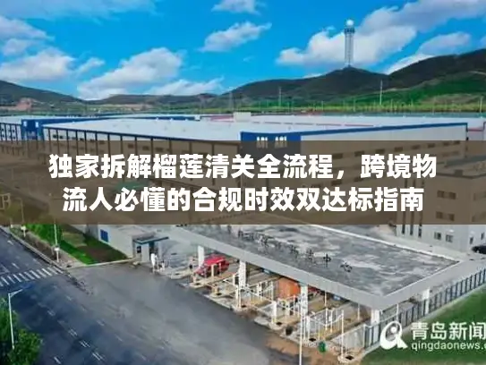 独家拆解榴莲清关全流程，跨境物流人必懂的合规时效双达标指南