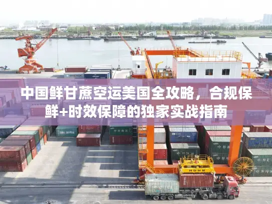 中国鲜甘蔗空运美国全攻略，合规保鲜+时效保障的独家实战指南