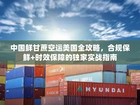 中国鲜甘蔗空运美国全攻略，合规保鲜+时效保障的独家实战指南